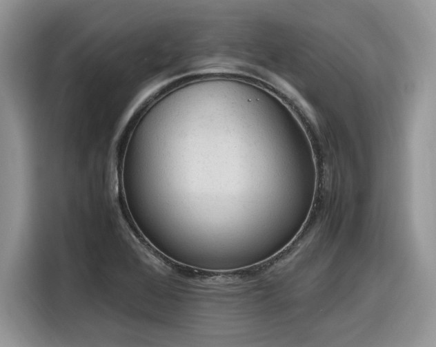 X0000116291368200912071202