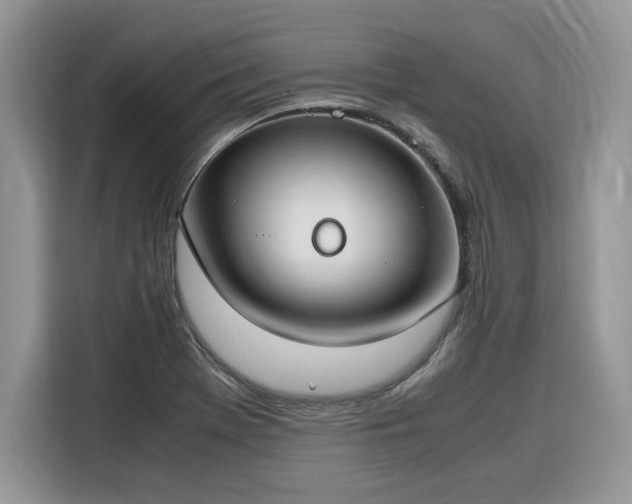 X0000116291369200912071202