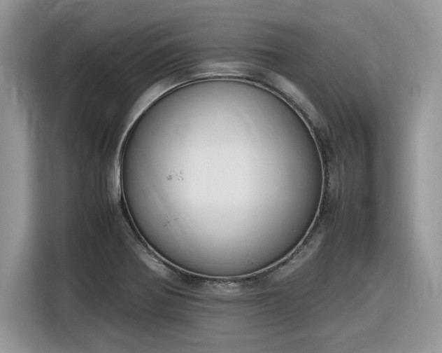 X0000116291370200912071202