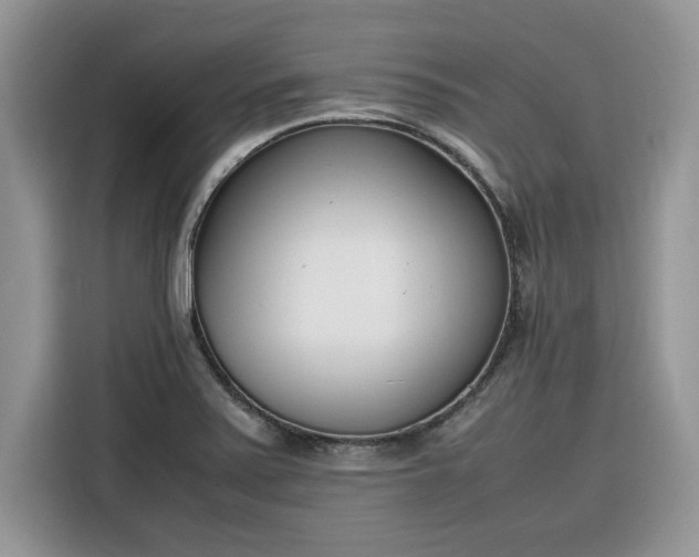 X0000116291371200912071202