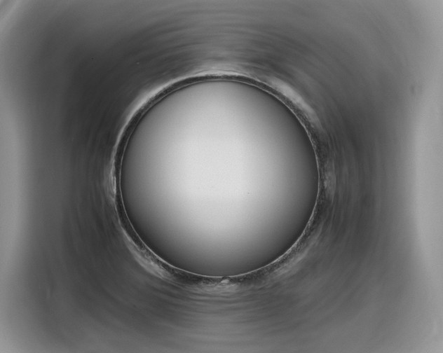 X0000116291372200912071202