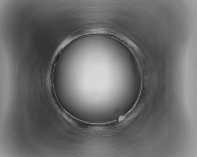 X0000116291373200912071202