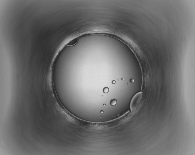 X0000116291374200912071202