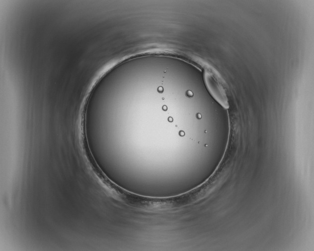 X0000116291375200912071202