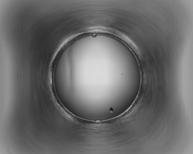 X0000116291376200912071202