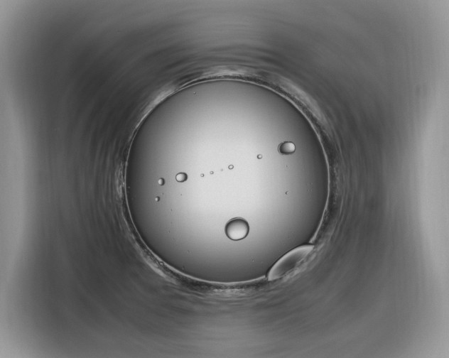 X0000116291377200912071202