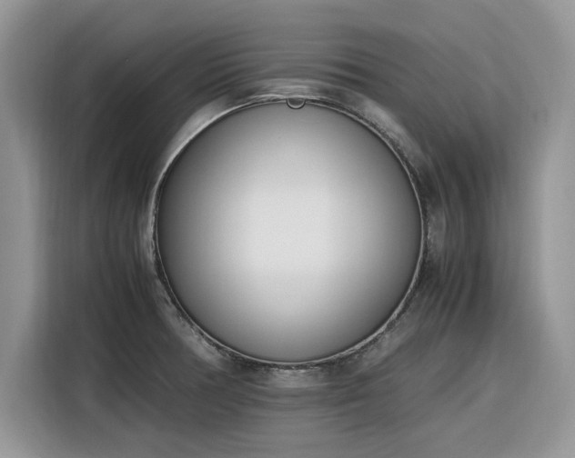 X0000116291378200912071202