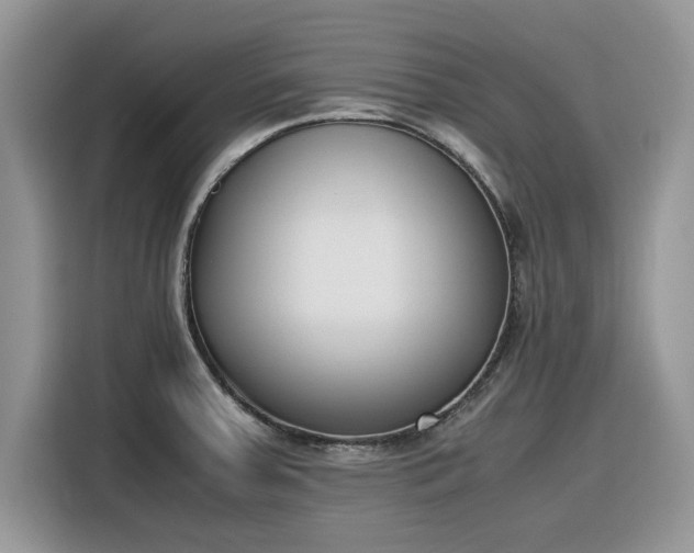 X0000116291379200912071202