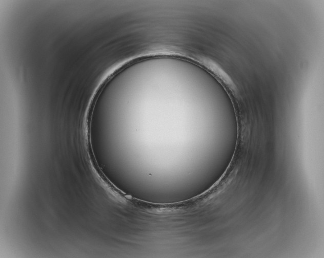 X0000116291380200912071202