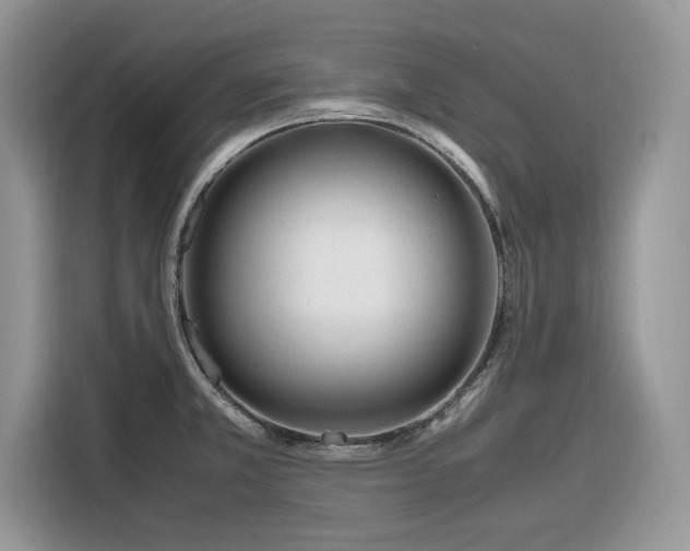 X0000116291381200912071202