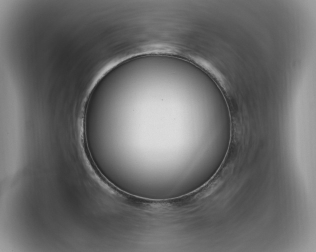 X0000116291383200912071202