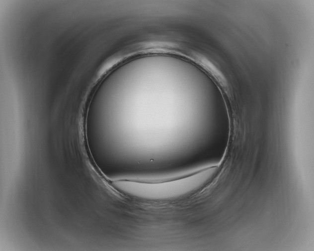 X0000116291384200912071202