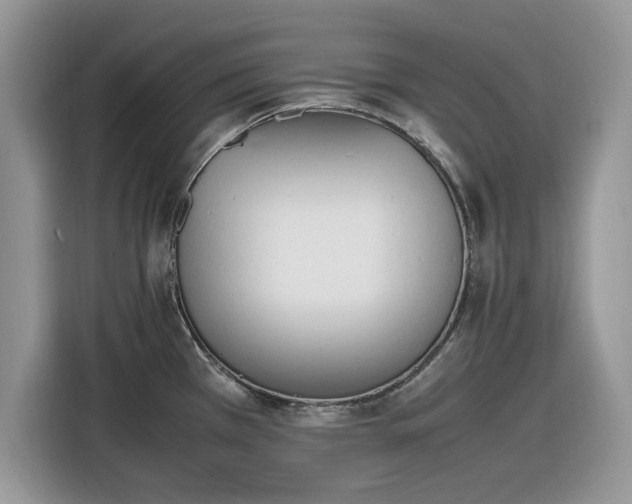 X0000116291385200912071202