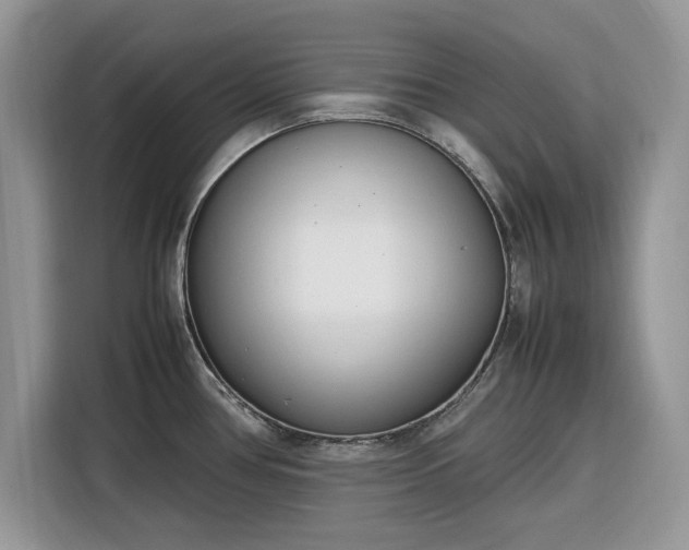 X0000116291386200912071202