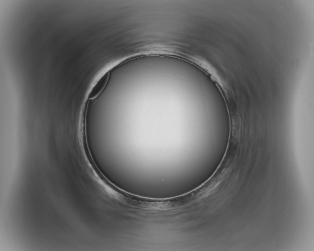 X0000116291387200912071202