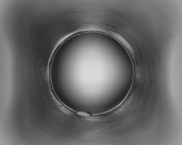 X0000116291388200912071202