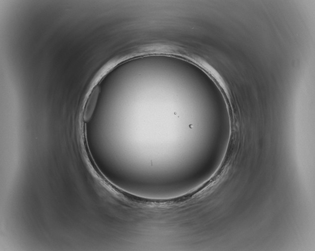 X0000116291389200912071202