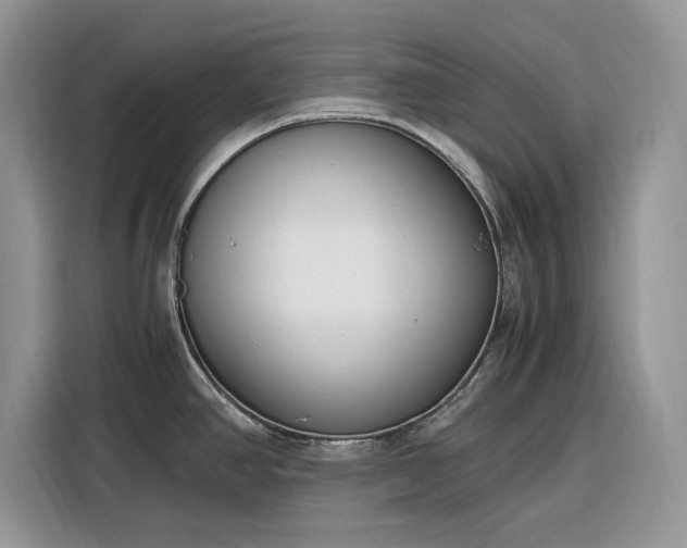 X0000116291390200912071202