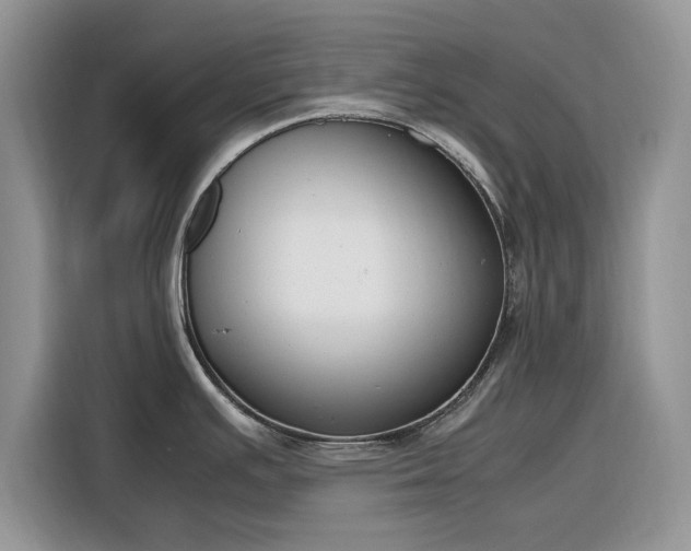 X0000116291391200912071202