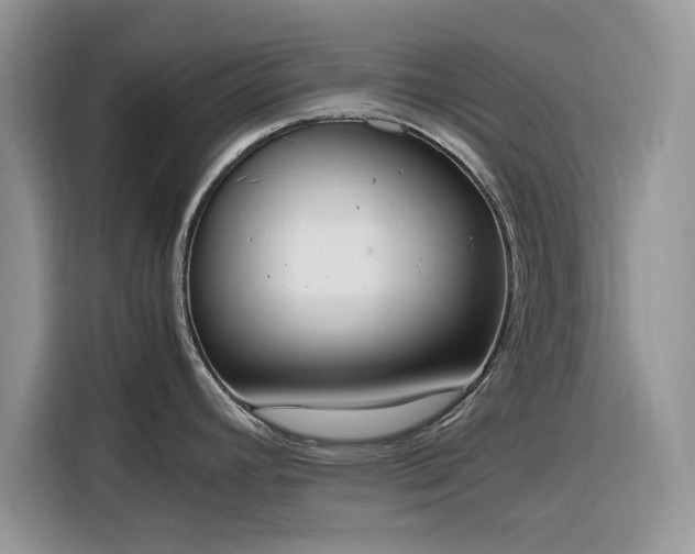 X0000116291392200912071202