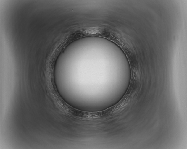 X0000116291393200912071201