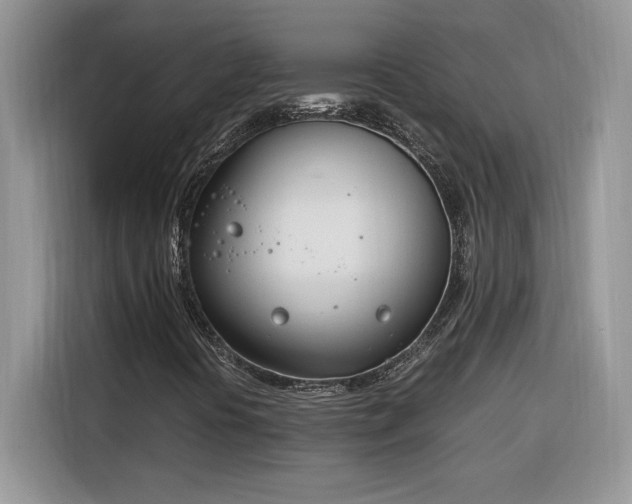 X0000116291394200912071201