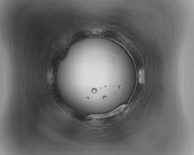 X0000116291395200912071201