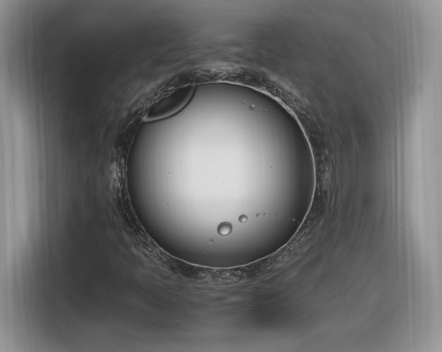 X0000116291397200912071201