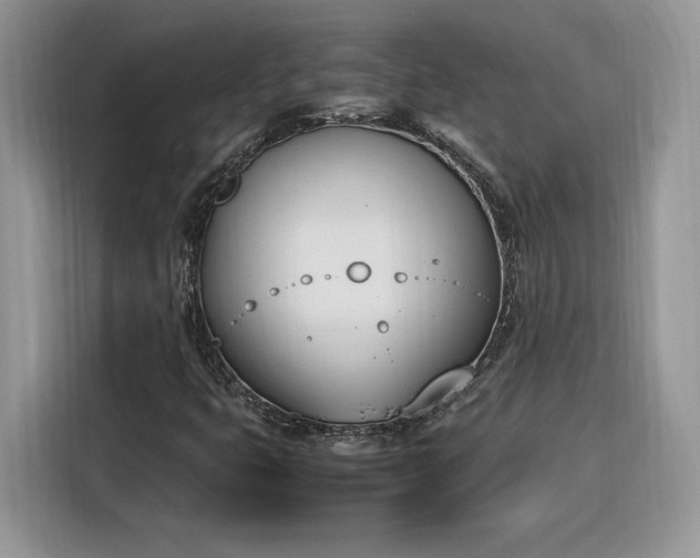 X0000116291399200912071201