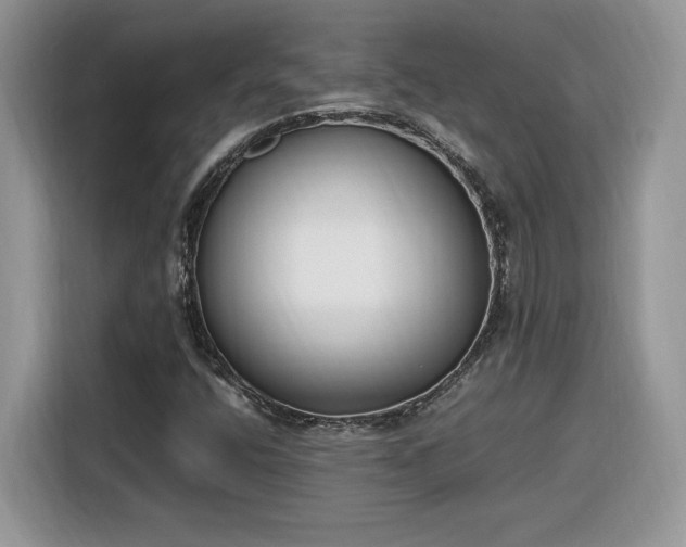 X0000116291400200912071201