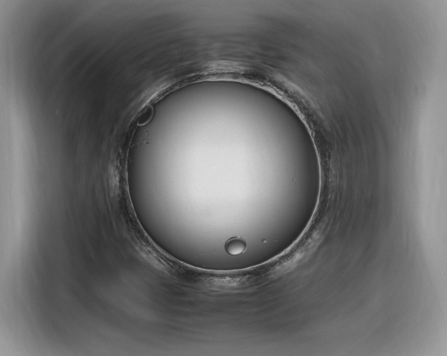 X0000116291401200912071201