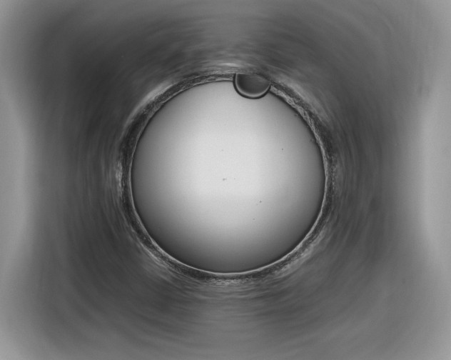 X0000116291402200912071201