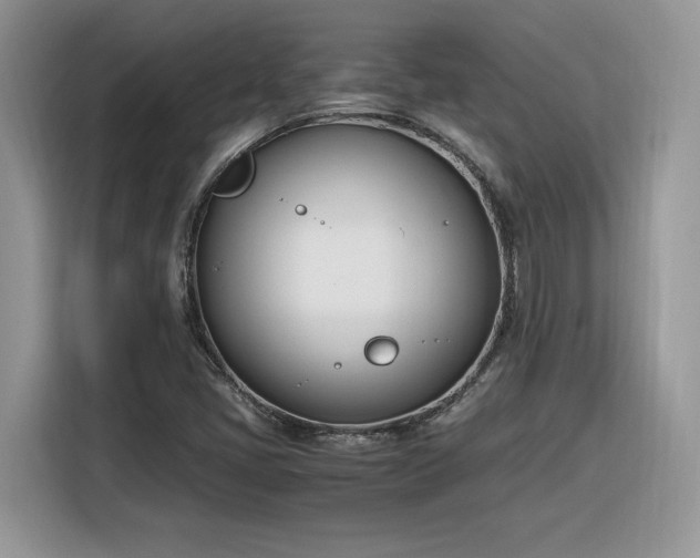 X0000116291405200912071201