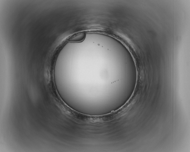 X0000116291407200912071201