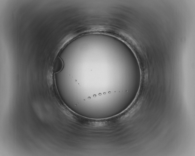 X0000116291409200912071201