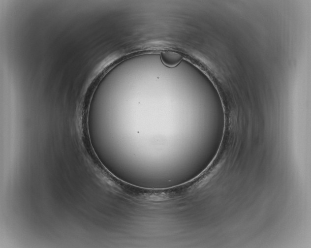 X0000116291410200912071201