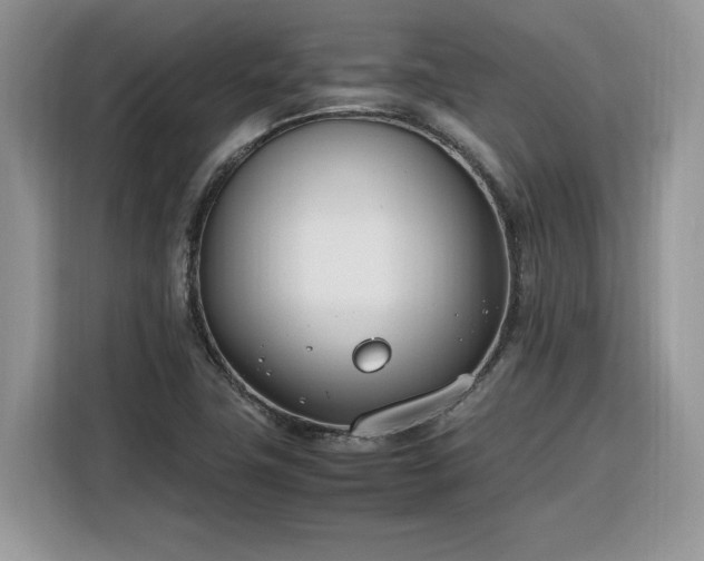 X0000116291411200912071201