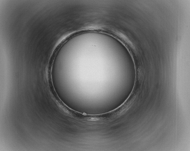 X0000116291412200912071201