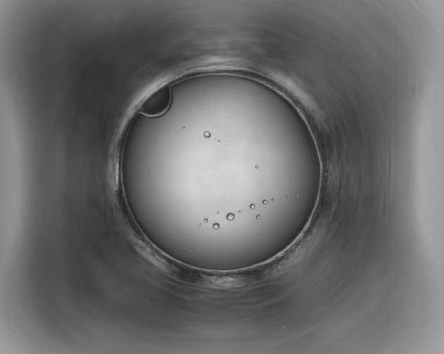 X0000116291413200912071201