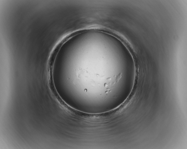 X0000116291414200912071201