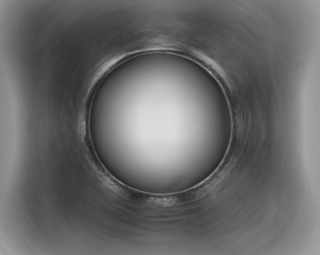 X0000116291415200912071201