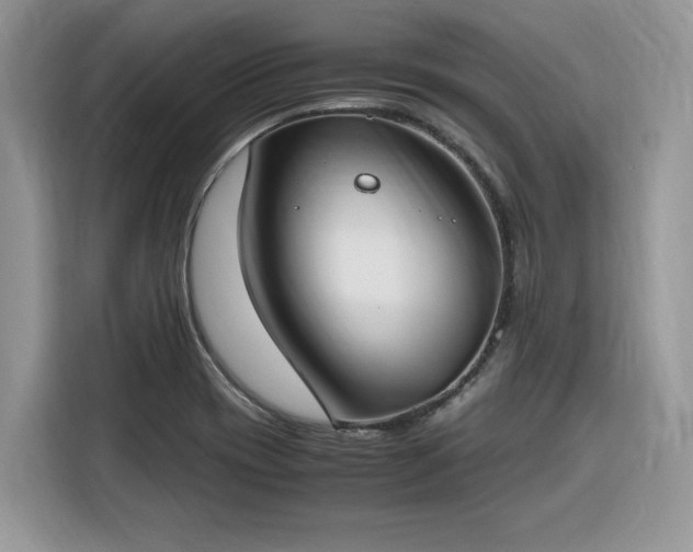 X0000116291417200912071201