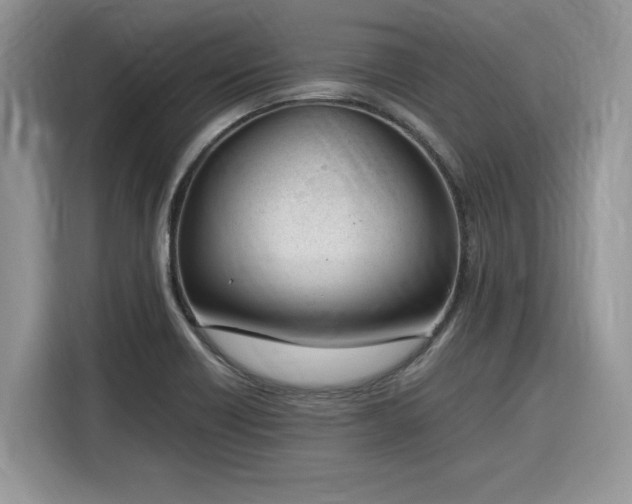 X0000116291418200912071201