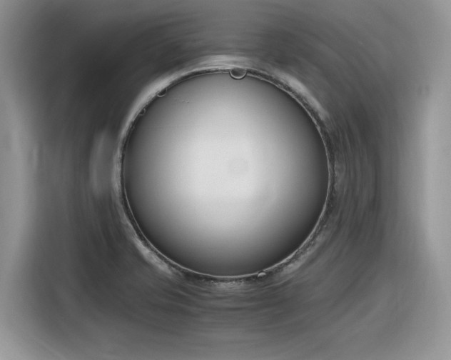 X0000116291421200912071201