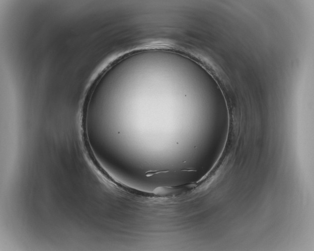 X0000116291422200912071201