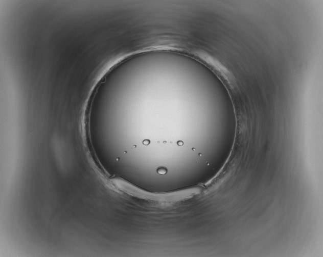 X0000116291423200912071201