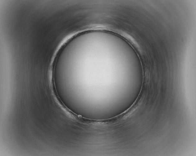 X0000116291424200912071201