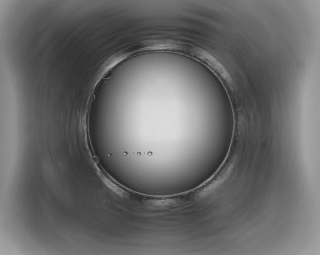 X0000116291425200912071201