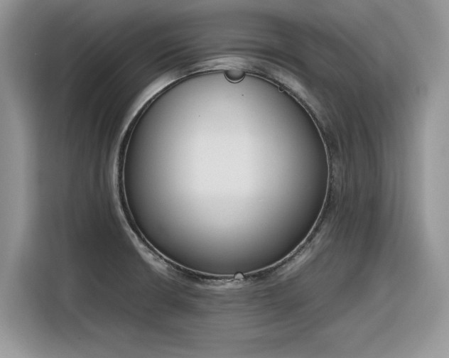 X0000116291426200912071201