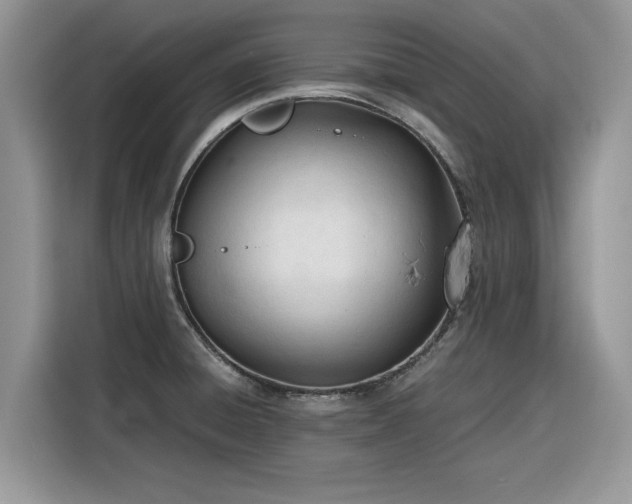 X0000116291428200912071201